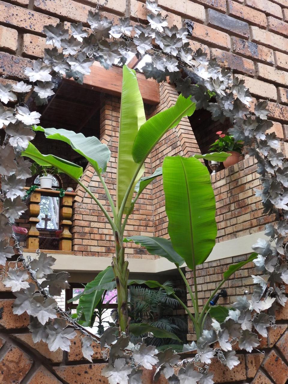 Mossel Bay Guest House Екстер'єр фото